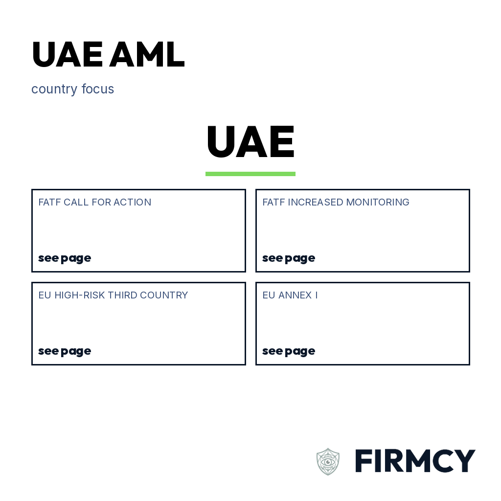 UAE AML